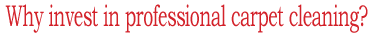 Why invest in professional carpet cleaning?